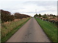 Hedge and wall-lined minor road near Girrick