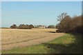 Arable land at Mill Cottage