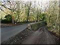 Track to Tanhouse Cottage