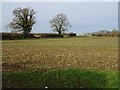 Farmland near Hankerton