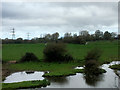 Ponds near Layton