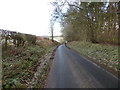 Hedge and tree-lined minor road at Snuffmill Banks