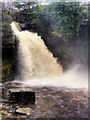 SD6975 : Ingleton Waterfalls Trail, Thornton Force by David Dixon