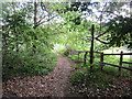 Footpath to Worcester Road