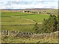 The valley of Ireshope Burn around Ling Riggs