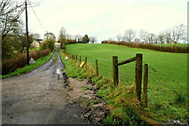 H5371 : Muddy along Dreenan Road by Kenneth  Allen