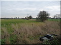 Farmland east of Austfield Farm