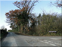TG2900 : Church Meadow Lane off Green Lane, Alpington by Adrian S Pye