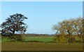 Aire valley near Kellington