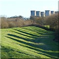 Flood bank at Kellington