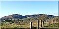 Ladder farm patterns in the Forkhill Valley