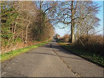 TL8899 : Road from The Arms towards B1108 by David Pashley