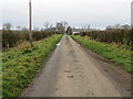 Hedge-lined minor road near to Blue Houses