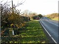 Weeland Road, Kellingley