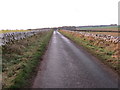 Wall-lined road near Greenlees