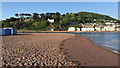 SX9372 : Morning tideline, back beach, Teignmouth by Robin Stott