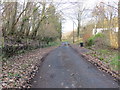 Minor road at Gaitknowe Cottage, Linton Burnfoot