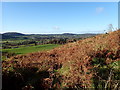 The upper Forkhill River basin viewed from the Slieve Gullion switchback path