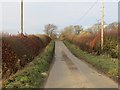 Hedge-lined minor road at Harden Mains