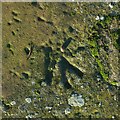 SE5728 : Rivet bench mark, Gateforth Landing, Selby Canal by Alan Murray-Rust