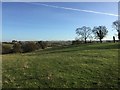 Bridleway towards the River Nene