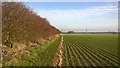 Farmland between Keelby and Stallingborough