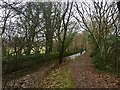 Footpath and stream