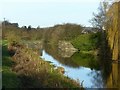 SE5726 : Selby Canal, looking north from Tankard's Bridge by Alan Murray-Rust
