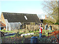 Scarecrow in the Vegetable Garden