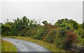 M0674 : Rural road, County Mayo by N Chadwick