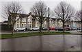 Deciduous trees and houses, Ashgrove Terrace, Nelson