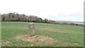 Trig point on Bugmore Hill, Hants