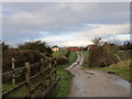 Track to Bassingfield from the Grantham Canal