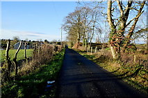 H4662 : Freughmore Road, Kilgort by Kenneth  Allen