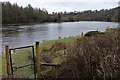 The Tay near Campsie Linn