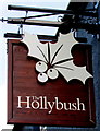 Hollybush pub name sign, Nelson