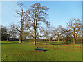 Bench in the Park, Bodicote