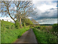 SO3894 : Country road near Wentnor (1) by Stephen Richards