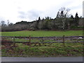 Meadow on the outskirts of Graffham