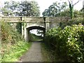 Arch over Heligan carriage drive