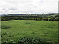 Grassland and the Monnow Valley