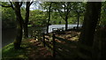 Picnic area by southern arm of Ryburn Reservoir, near Ripponden