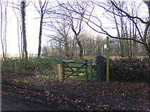 TM4899 : Footpath to Market Lane by Geographer