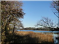 Ormesby Little Broad from Filby Bridge