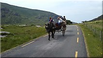 V8785 : Road through the Gap of Dunloe - jaunting car near Auger Lake by Colin Park