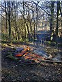 Fire in the woods at North Lees campsite