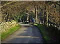 Christmas Eve walkers on Birley Lane