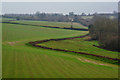 Taunton Deane : Grassy Field