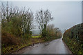 Taunton Deane : Country Road