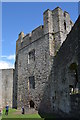 ST5394 : Martens Tower seen from the courtyard, Chepstow Castle by Colin Cheesman